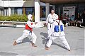 dsc_9550_k_20110911_1295757482.jpg