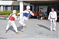 dsc_9556_k_20110911_1464183103.jpg