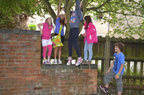 Klicken für Bild in voller Größe