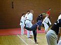 P1020994_1536x1152.jpg