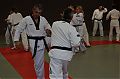 0096_TKD-Breitensportlehrgang__SV_2013.jpg
