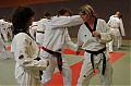 0108_TKD-Breitensportlehrgang__SV_2013.jpg