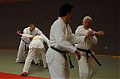 0119_TKD-Breitensportlehrgang__SV_2013.jpg