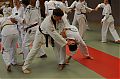 0124_TKD-Breitensportlehrgang__SV_2013.jpg