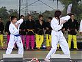 0063_JCR-TKD_Hessentag_15062017.jpg