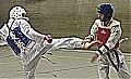 0167_JCR-TKD_Guertelpruefung_20032017.jpg