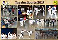 Tag_des_Sports_2017.jpg